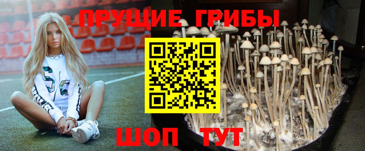 Псилоцибиновые грибы мицелий Полысаево